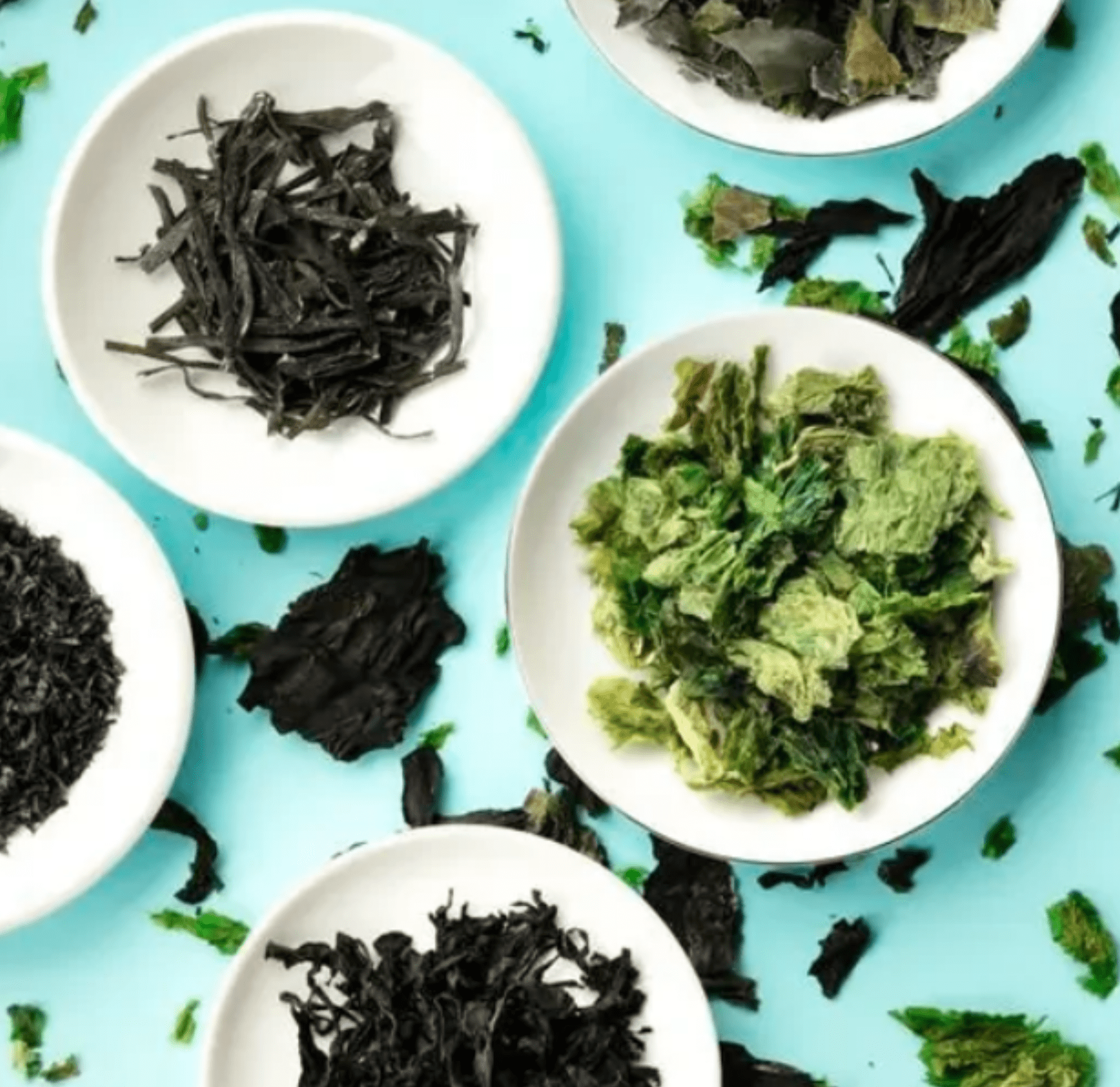 Seacrest Seaweed